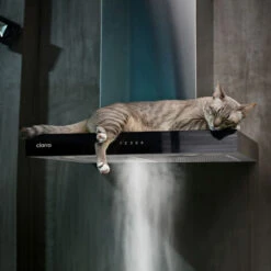 CIARRA 4 Speeds Class A++ 650m3/h Touch Control Chimney Cooker Hood 60cm -CBCS6102 -Kitchen Appliances Shop 36409475 4