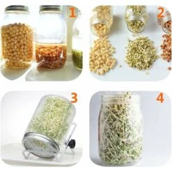 4 Stainless Steel Home Germination Jar Lids For Large Mouth Mason Jars -Kitchen Appliances Shop 68107579 4