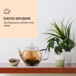 Feelino Tea Flowers 6 Different Varieties Individually Packed Very Productive -Kitchen Appliances Shop 91854030 3